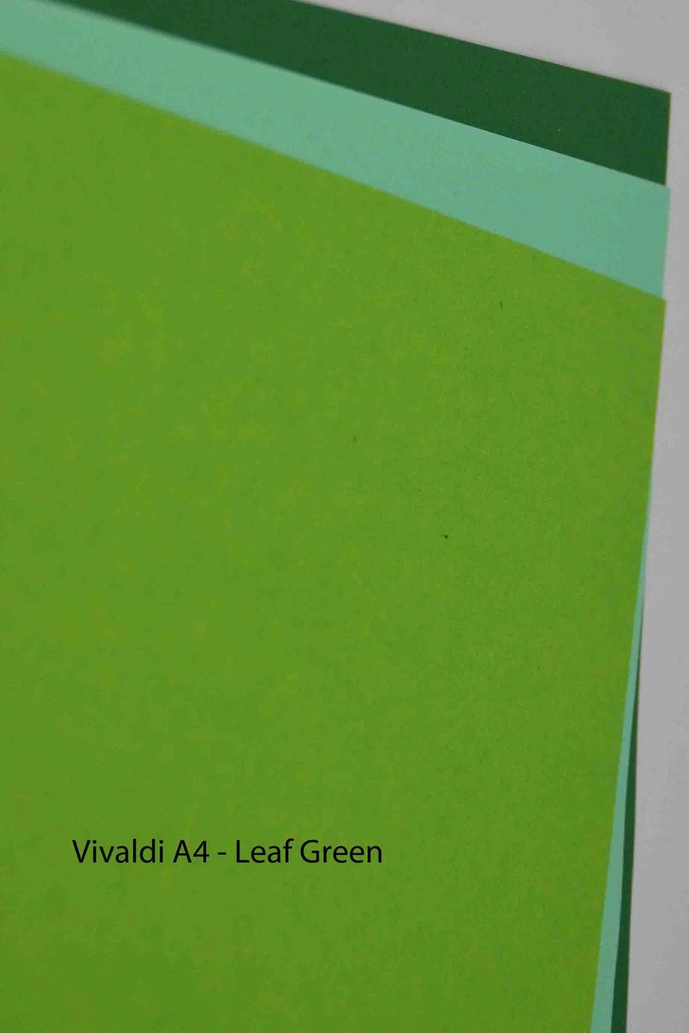 A4 - Coloured and White Papers - Vivaldi Plain 120gsm - Click here to choose colour