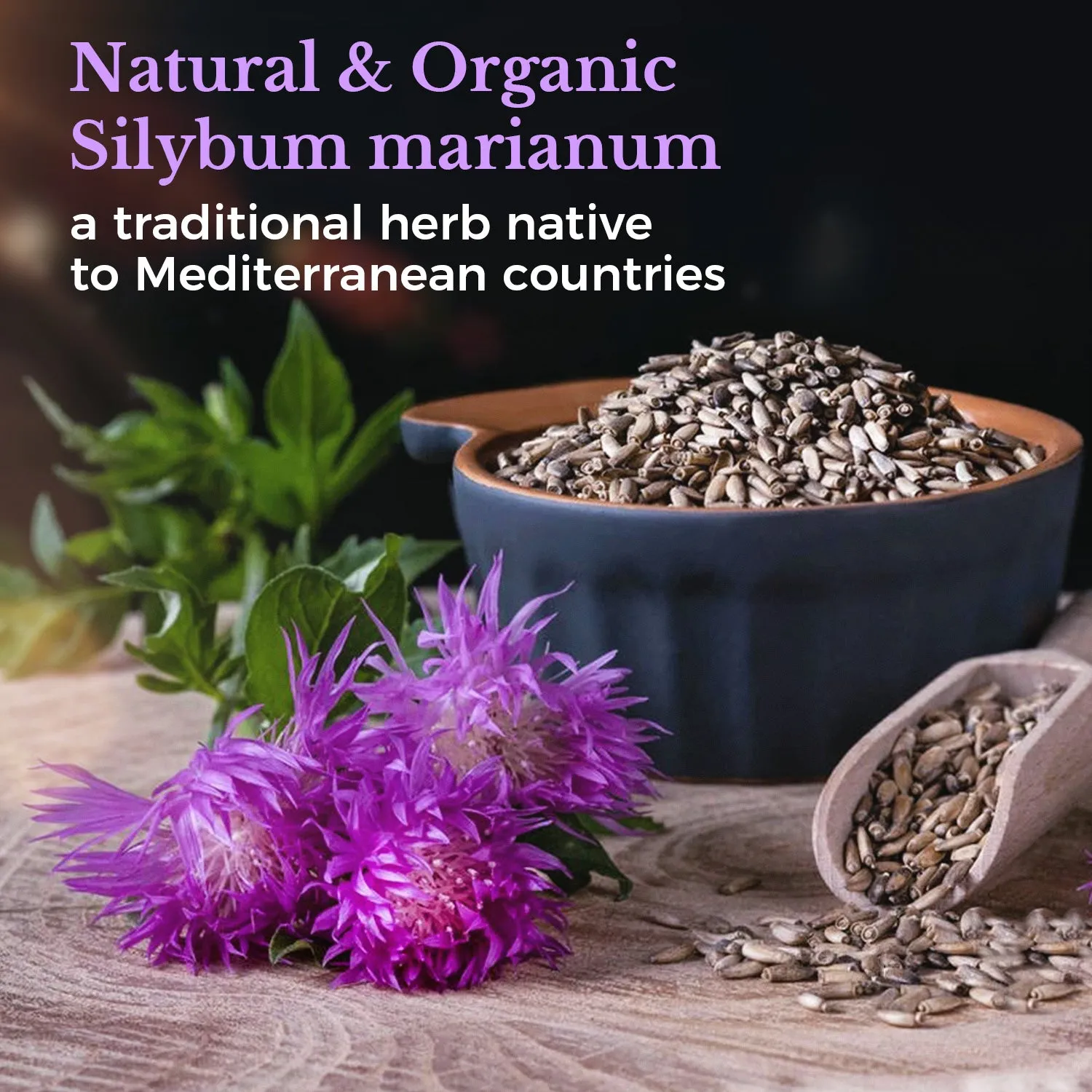 Organic Milk Thistle Extract