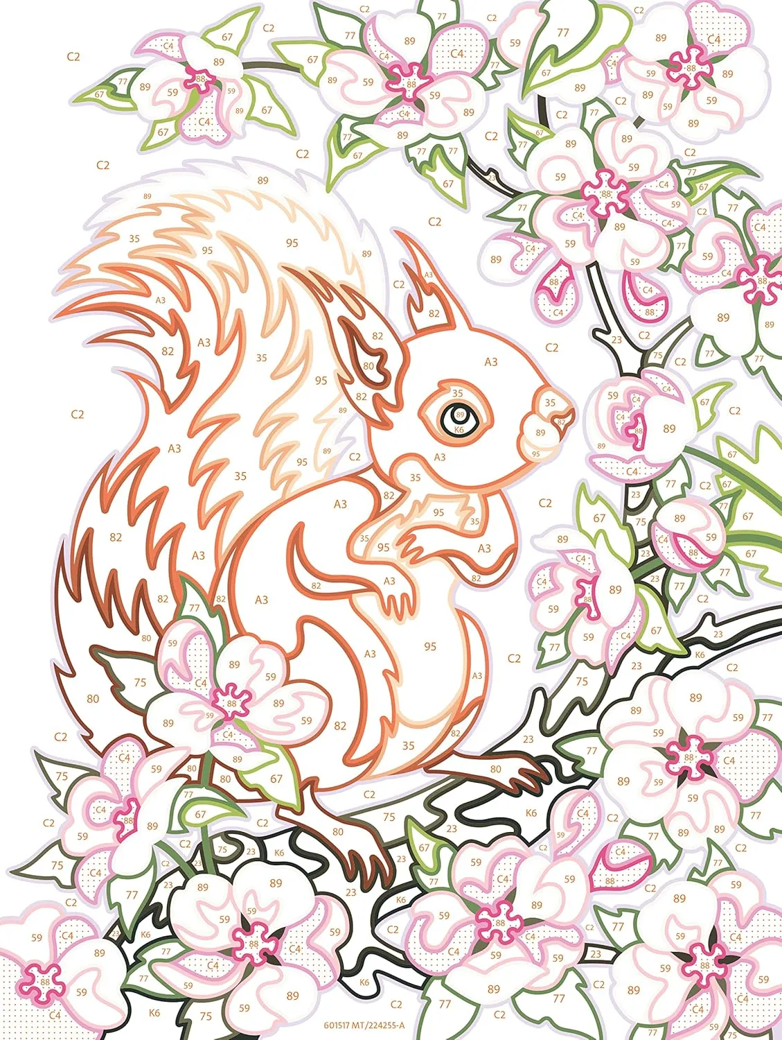 Spring Squirrel Paint By Number